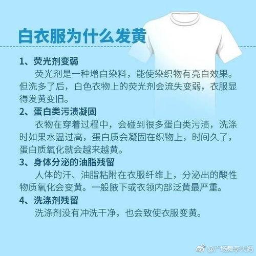 白衣最新爆料新闻 第1张 白衣最新爆料新闻 第1张